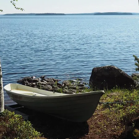 Aalto Koli