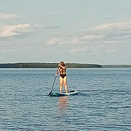 Aalto Koli