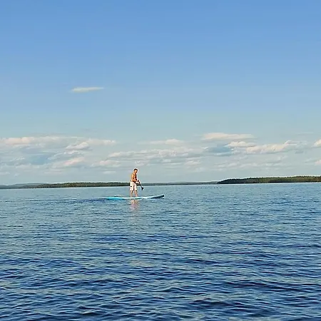 Aalto Koli *