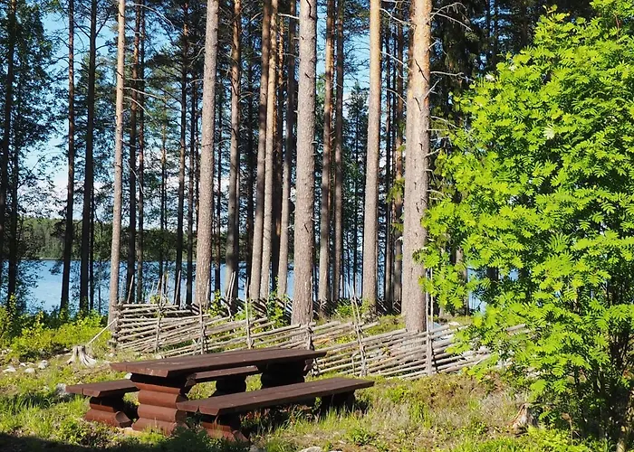 Aalto Koli Колинкюла