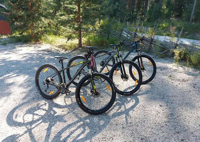 Вилла Aalto Koli